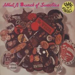 The Pink Fairies : What a Bunch of Sweeties